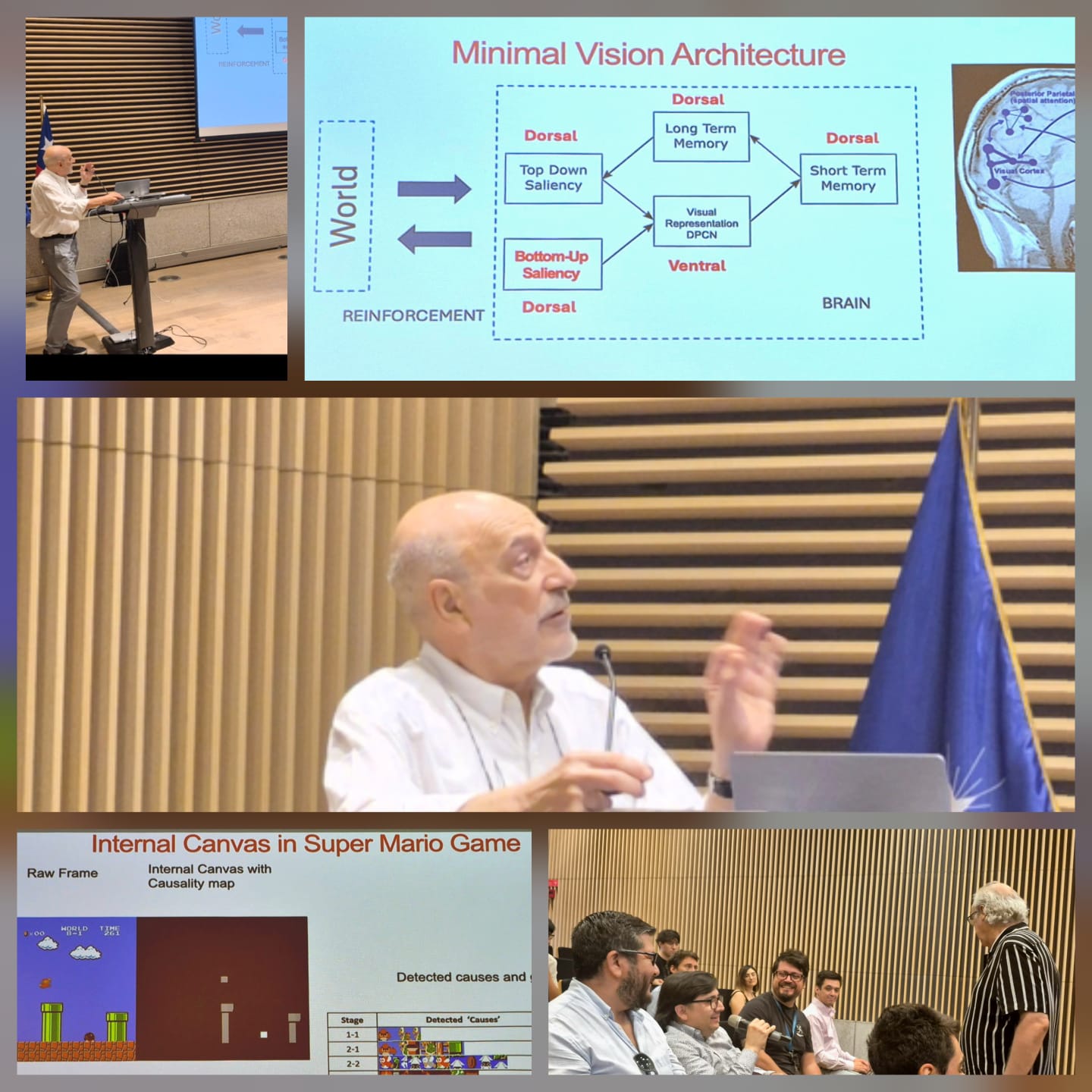 Figura 1: Collage de la charla del profesor José C. Príncipe
