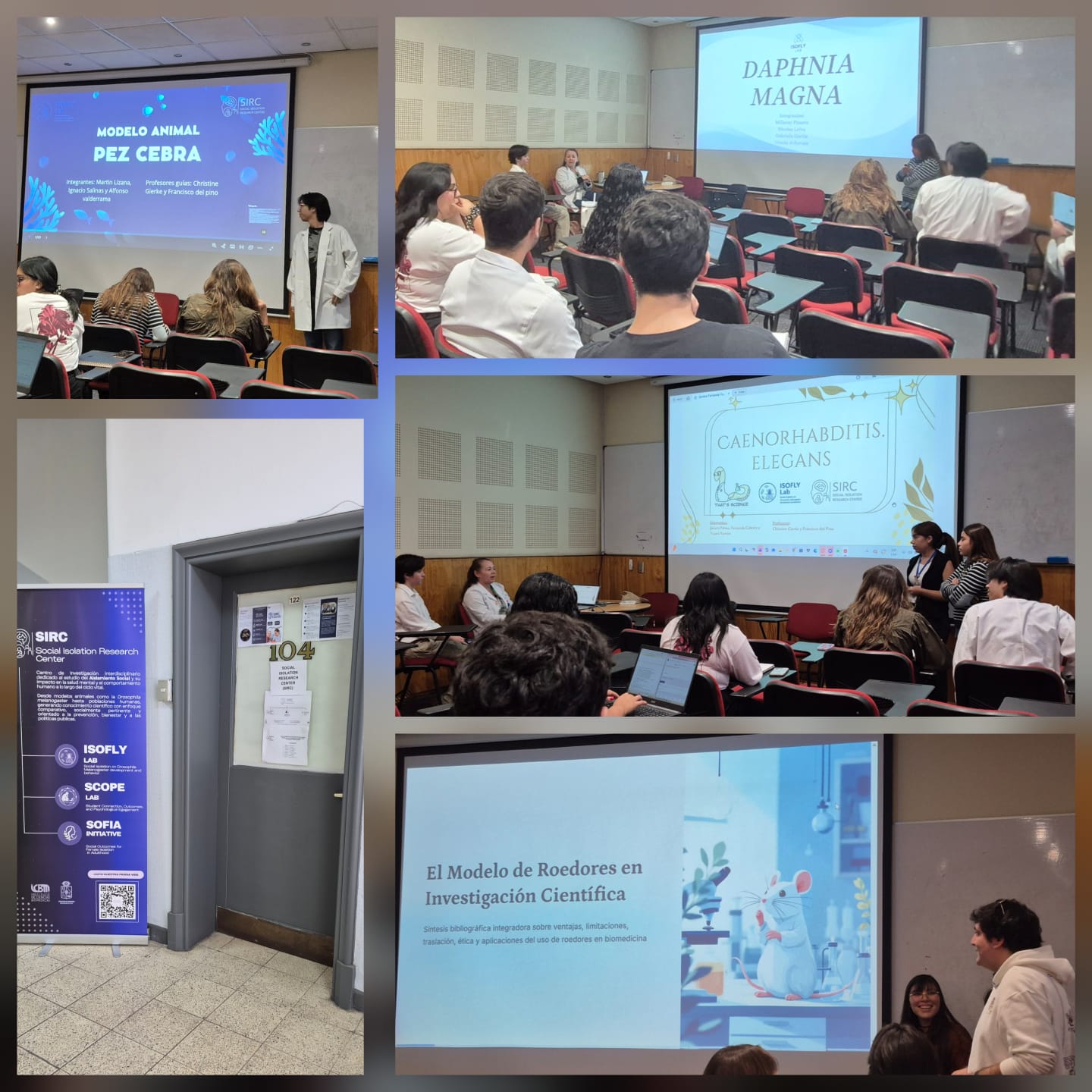 Seminario sobre modelos animales y conducta